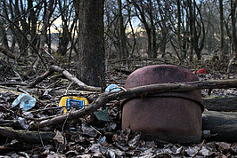 Bernhard Saalfeld - DSC05333 -1